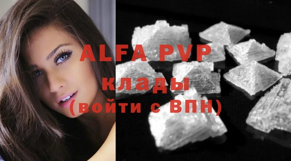 ешки Вяземский