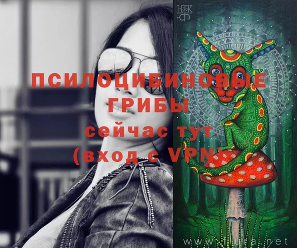 твердый Вязники