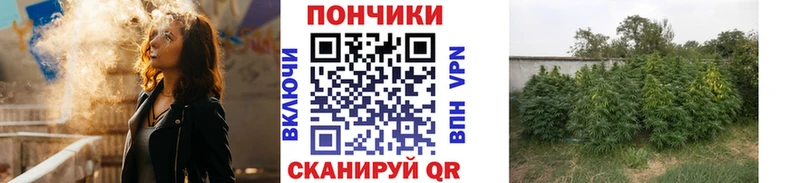 МАРИХУАНА конопля  Закаменск 